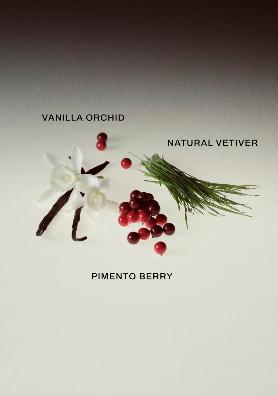 YOUR TURN II Eau de Parfum, 3.4 Fl oz 4